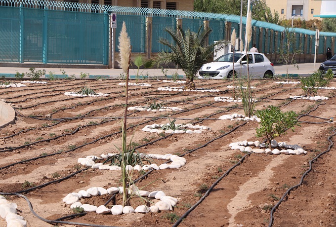 صورة مصغّرة