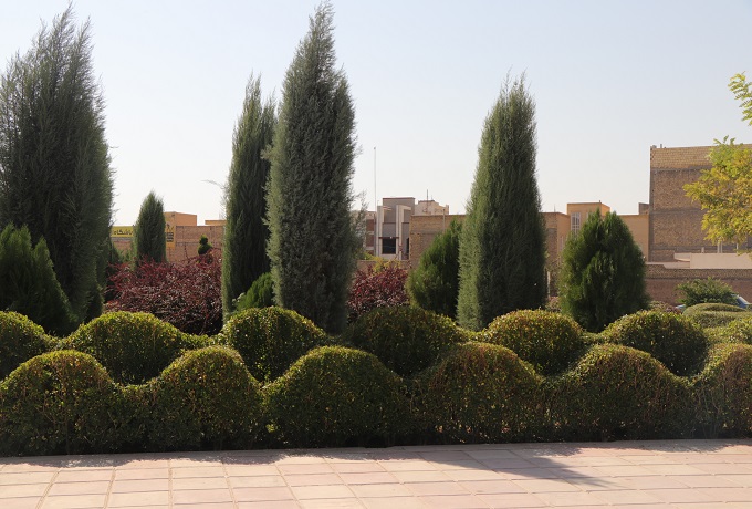صورة مصغّرة