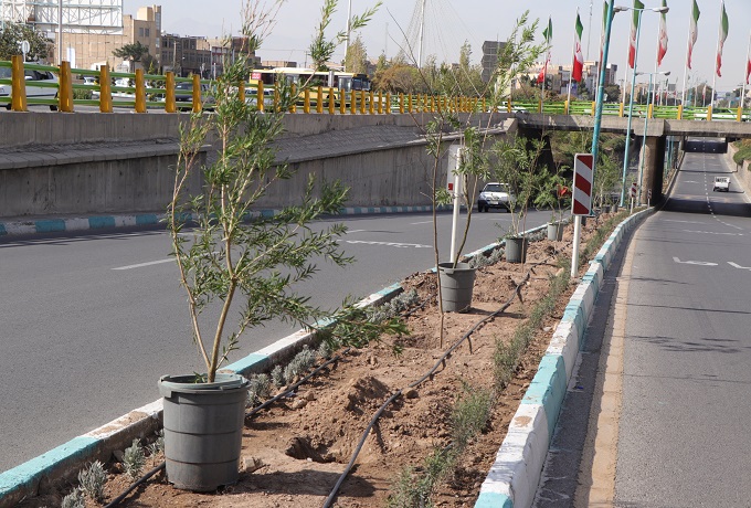 صورة مصغّرة