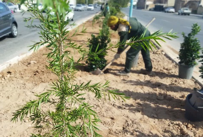 تصویر کوچک