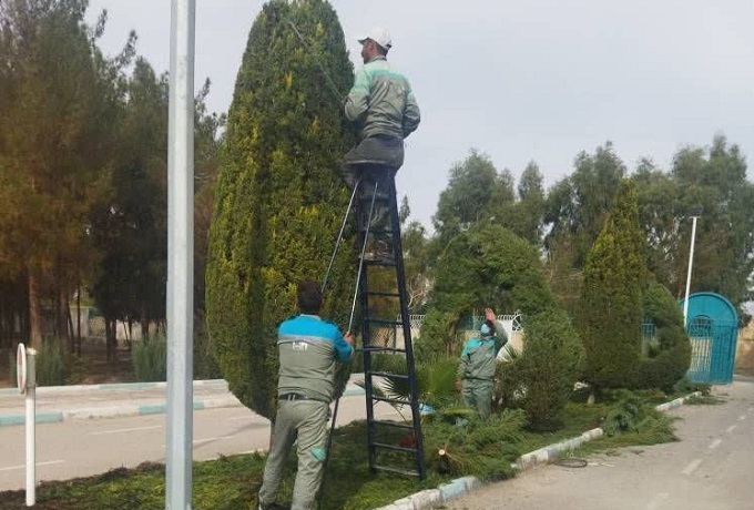 تصویر کوچک
