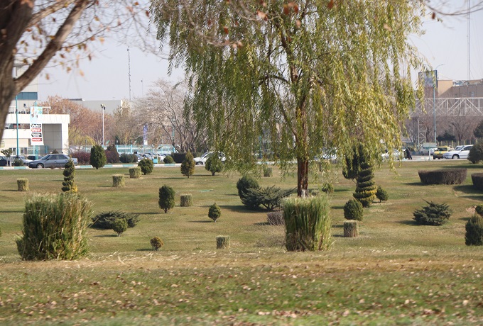 تصویر کوچک