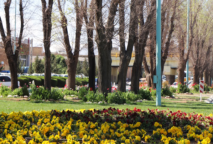 تصویر کوچک