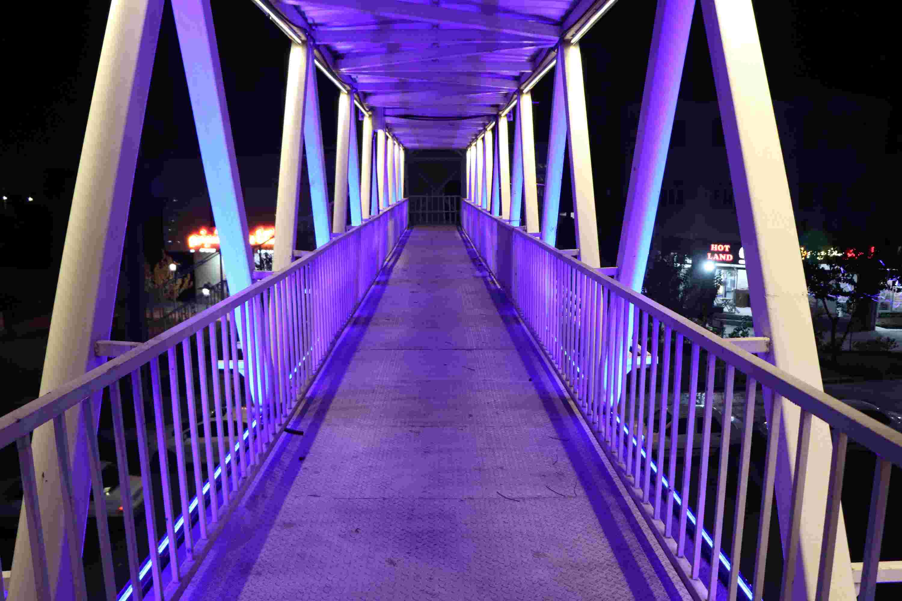 تصویر کوچک