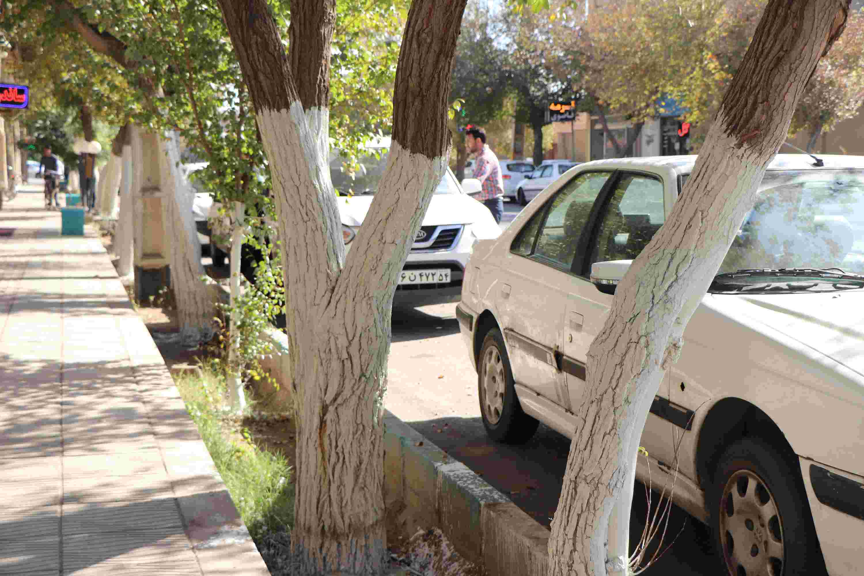 صورة مصغّرة